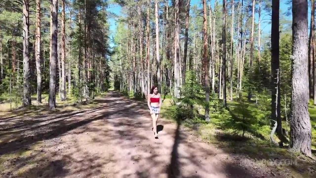 Превью Необычные анальные приключения в ближайшей посадке № 46829